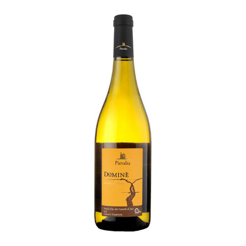 Dominè, Verdicchio dei Castelli di Jesi 2020 0,75 l - Pievalta