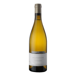 Bourgogne blanc Chardonnay 2019 0,75 l - Domaine Bruno Colin