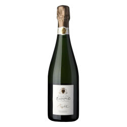 Tarlant Argilité IV, Amphorae Champagne 2015 0,75...