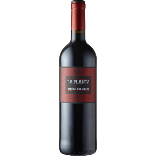 Ribera del Duero D.O. La Planta 2022 0,75 l - Bodegas Arzuaga