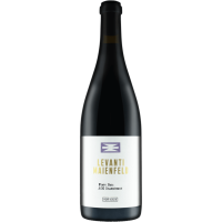 Maienfelder Pinot Noir Levanti AOC Graubünden 2019 0,75 l - Von Salis