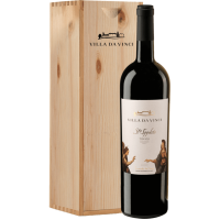 Rosso Toscana IGT Sant`Ippolito 2020 1,5 l - Leonardo da Vinci