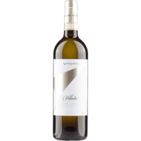 Roero Arneis DOCG Villata 2023 0,75 l - Vite Colte