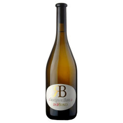 Sauvignon Blanc 2023 0,75 l - Rosa Bosco