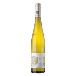 Riesling Ölberg Grosses Gewächs 2023 0,75 l -...