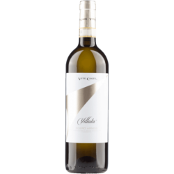 Roero Arneis DOCG Villata 2024 0,75 l - Vite Colte